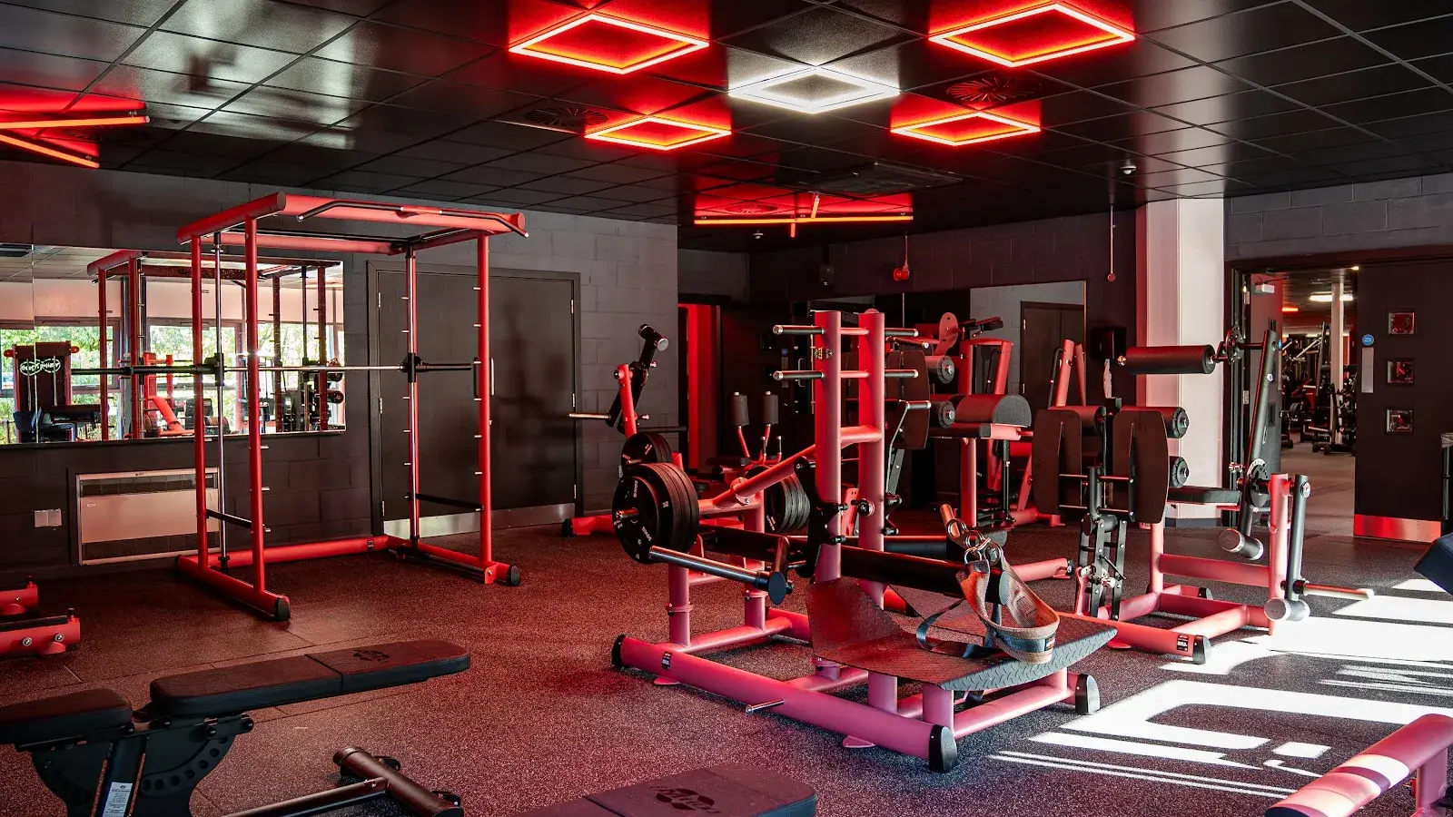 Ab Salute Gym