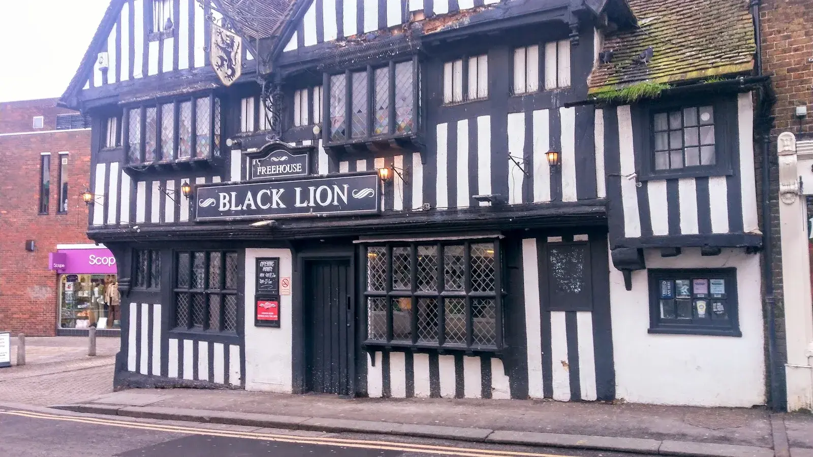 The Black Lion