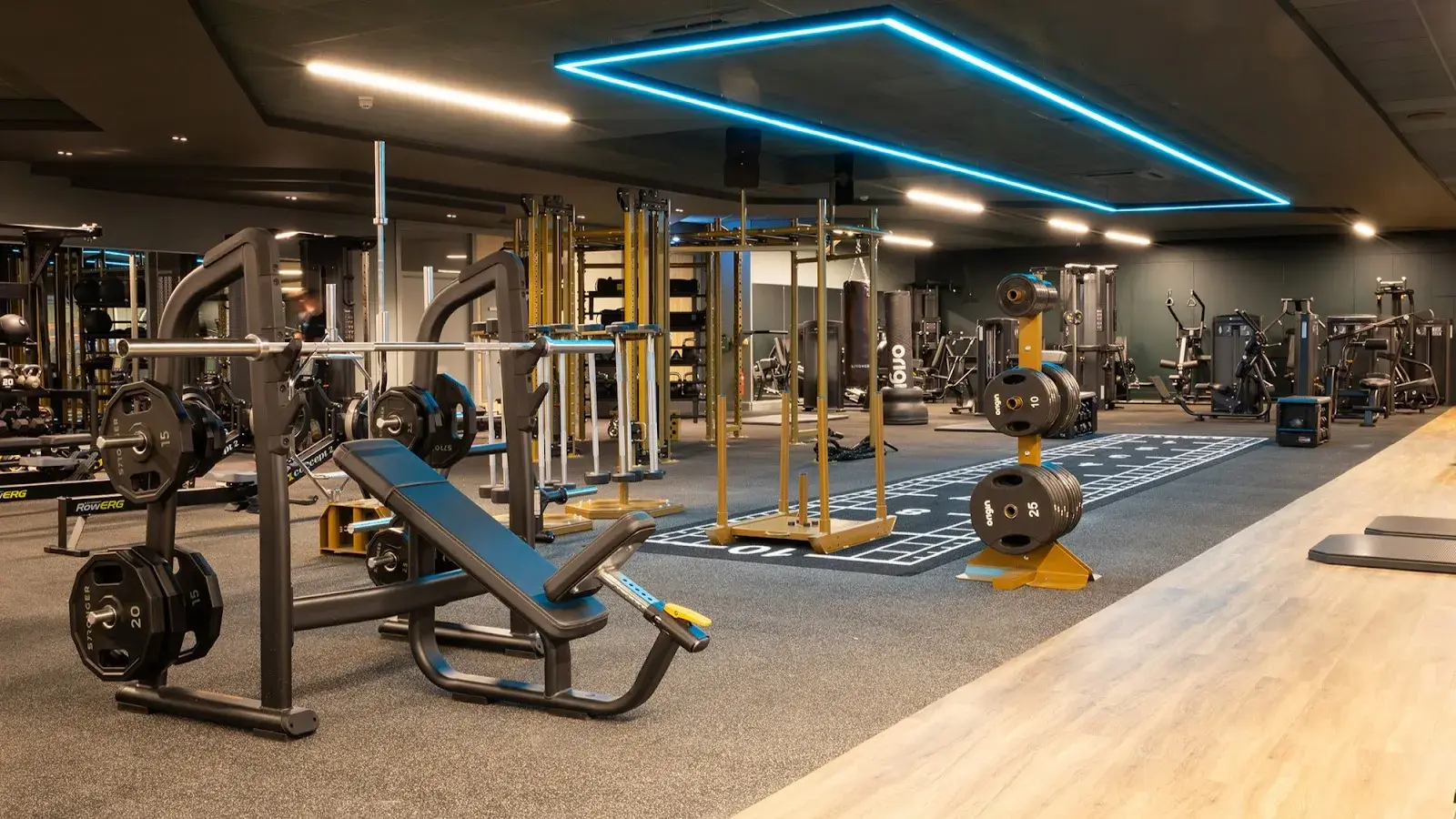 David Lloyd Stevenage