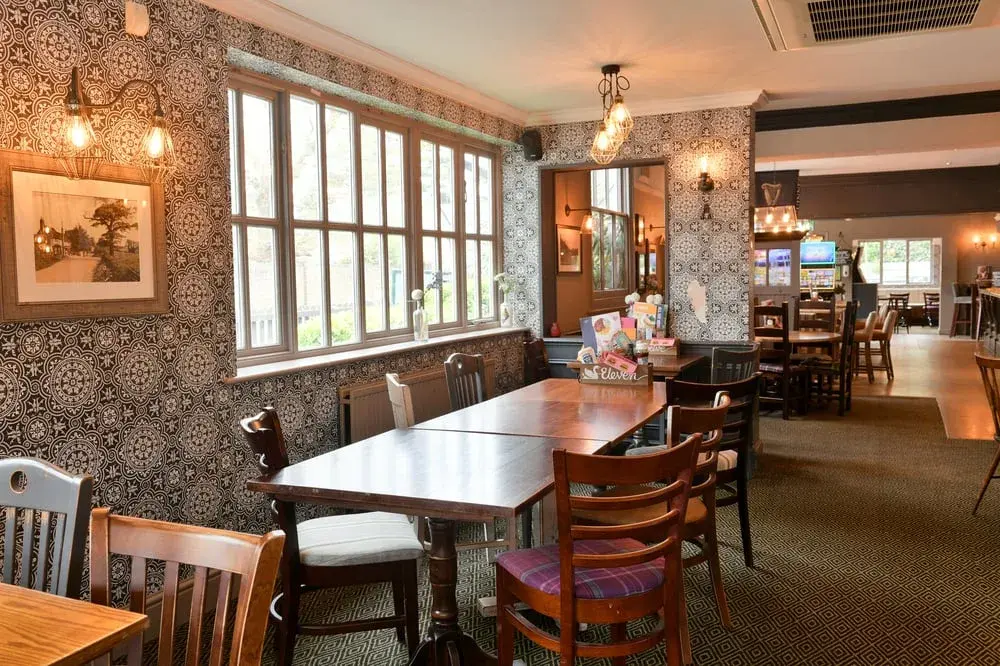 The Swan