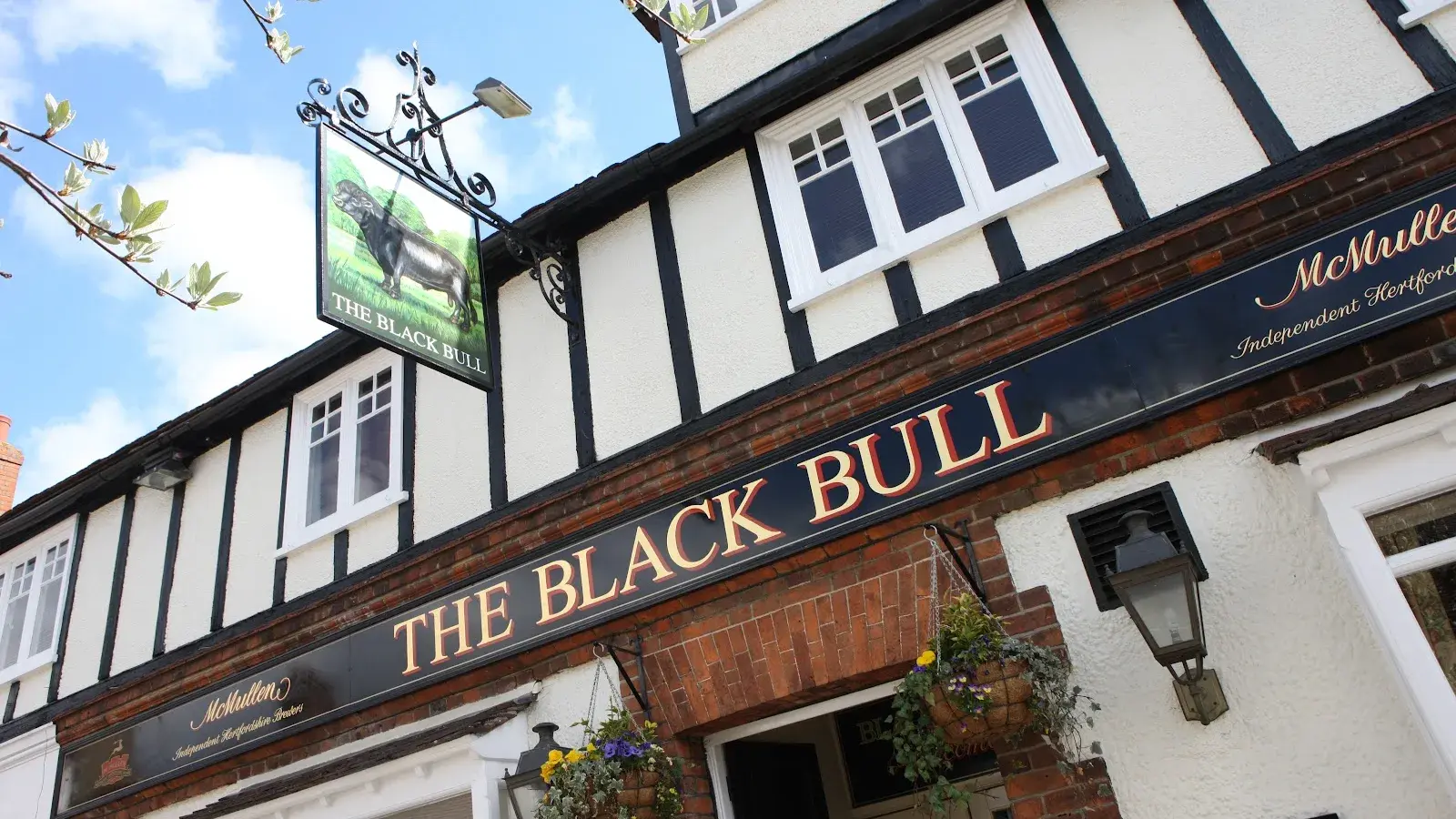 Black Bull