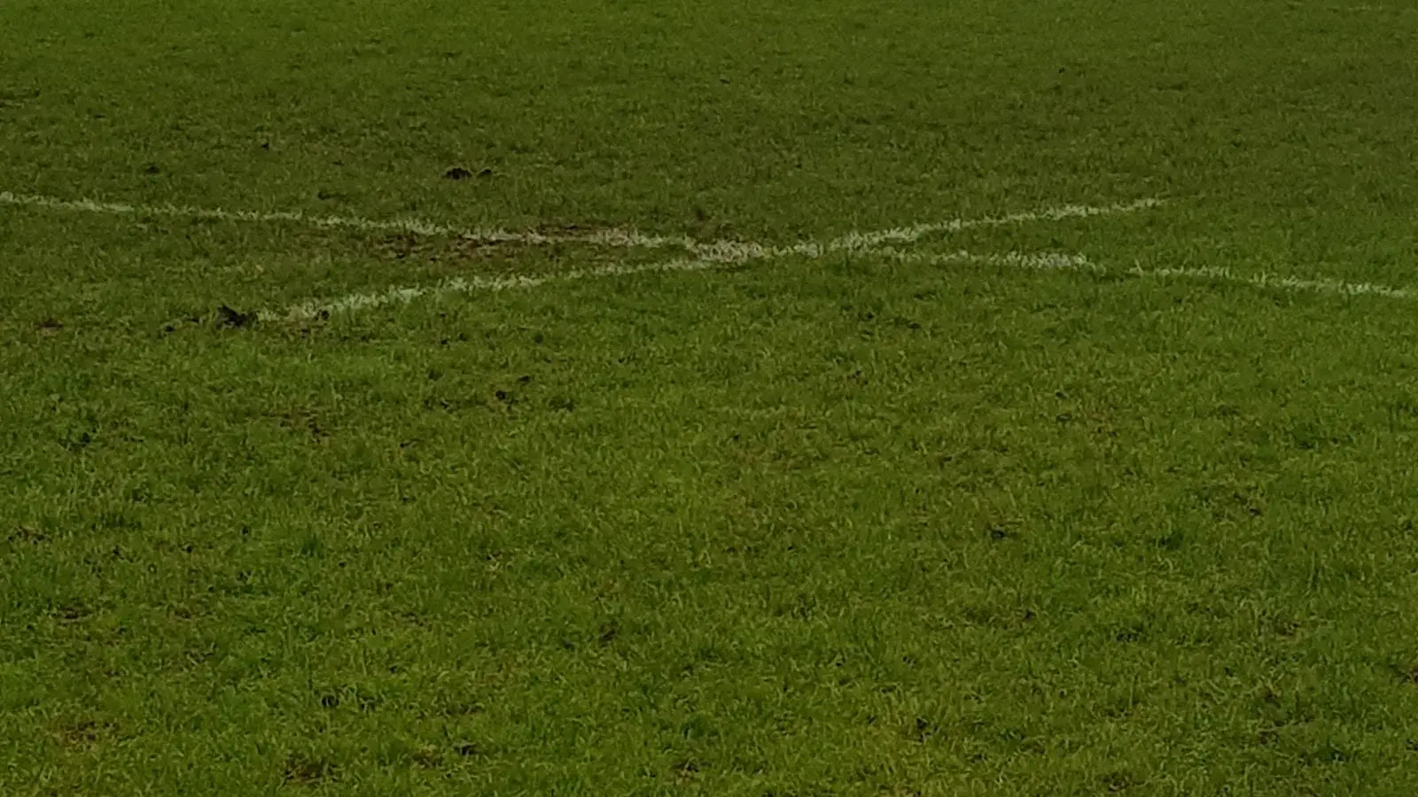 Stevenage Town Rugby Club