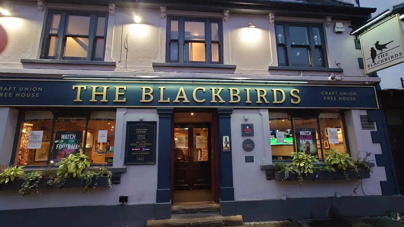 Blackbirds
