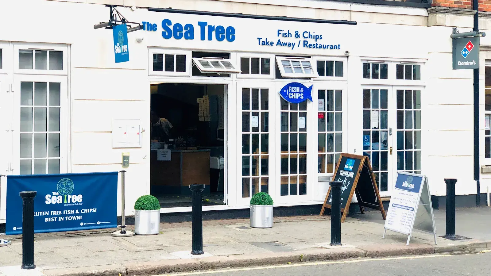 The Sea Tree Ware