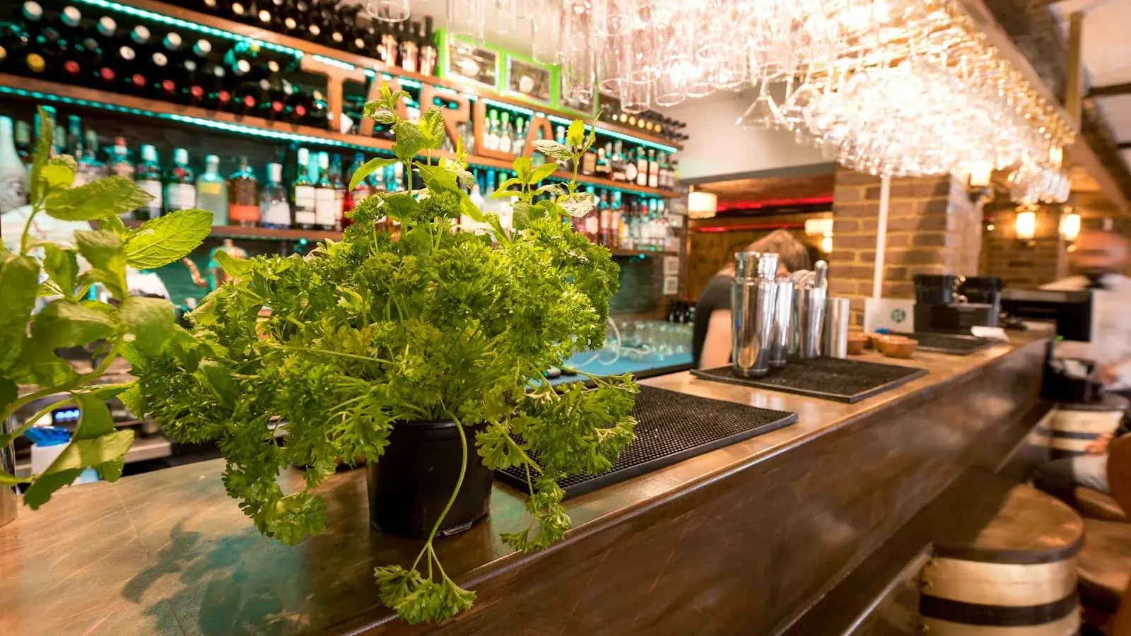 Tarla Restaurant