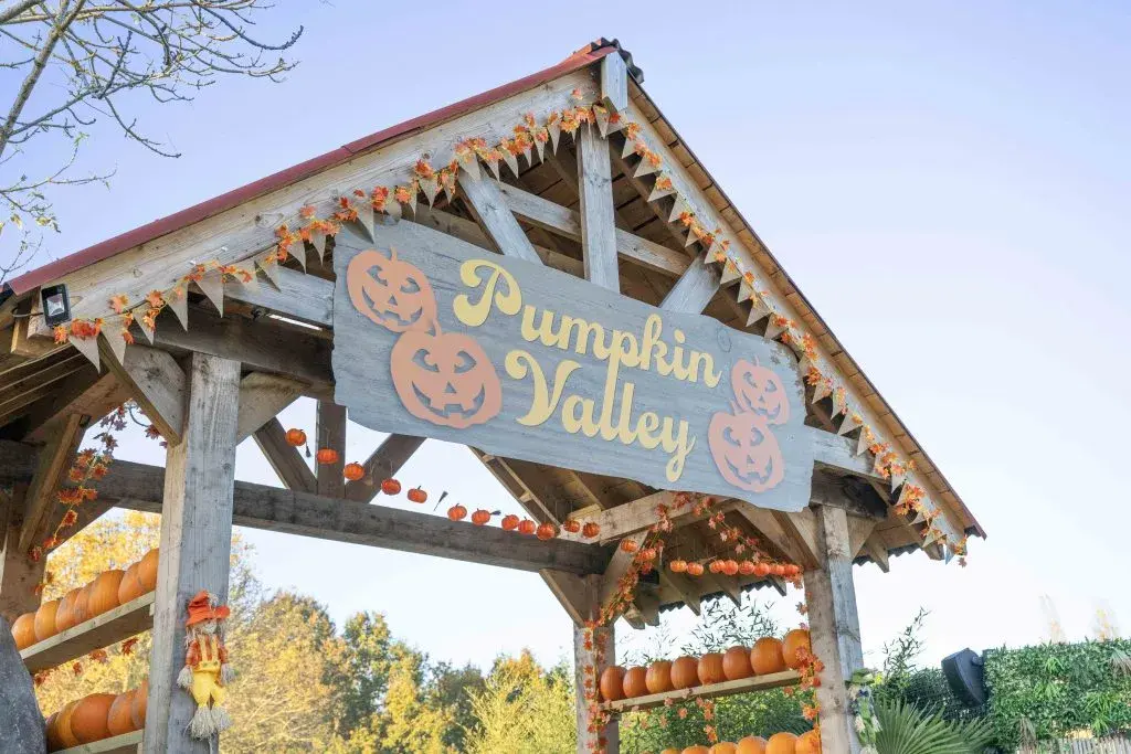 Pumpkin Valley | Hertfordshire Zoo