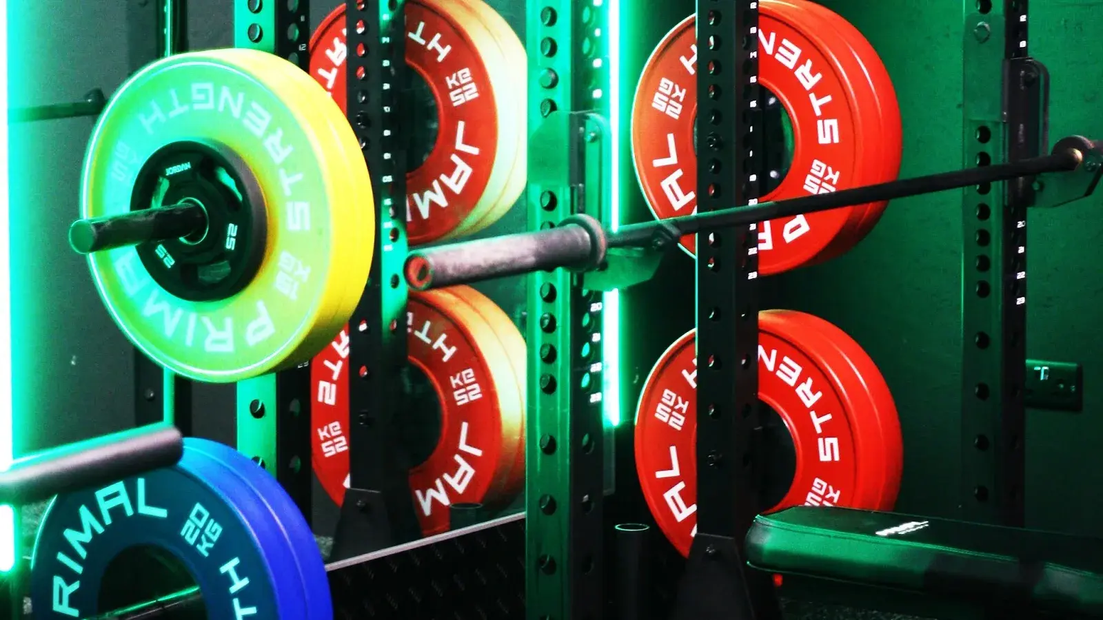FITT 41