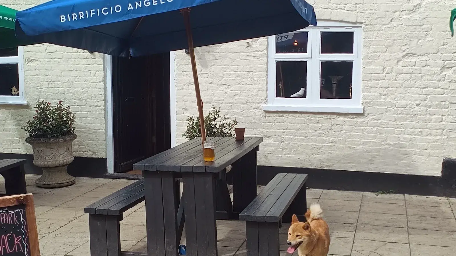 The Old Fox-now open